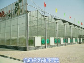 【阳光板温室和薄膜温室有什么区别,各有什么优缺点_阳光板温室价格|图片】-